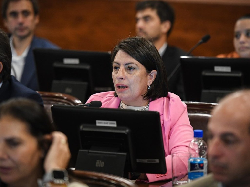 Ley de Reiterancia: Carola Laner y la Defensa de la Seguridad Frente a la Impunidad que Socava la&nbsp;Sociedad